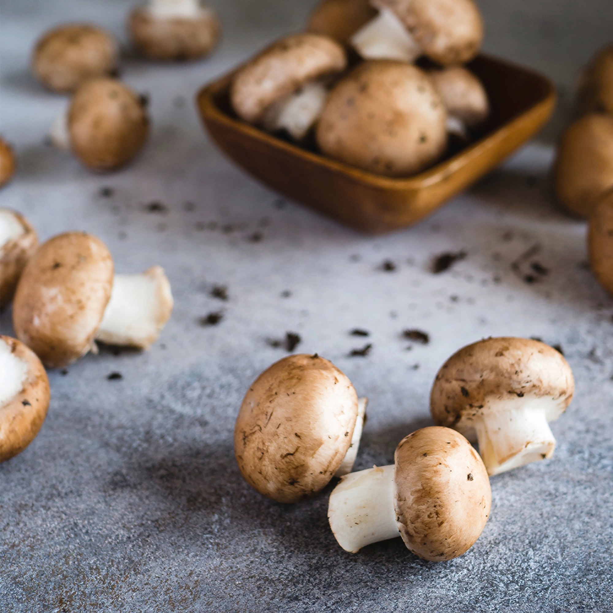 Mushrooms An Underrated Superfood