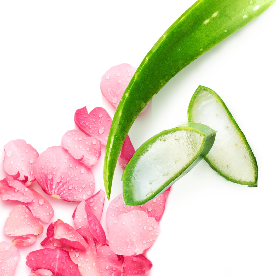 Erfrischendes Sommer Ritual