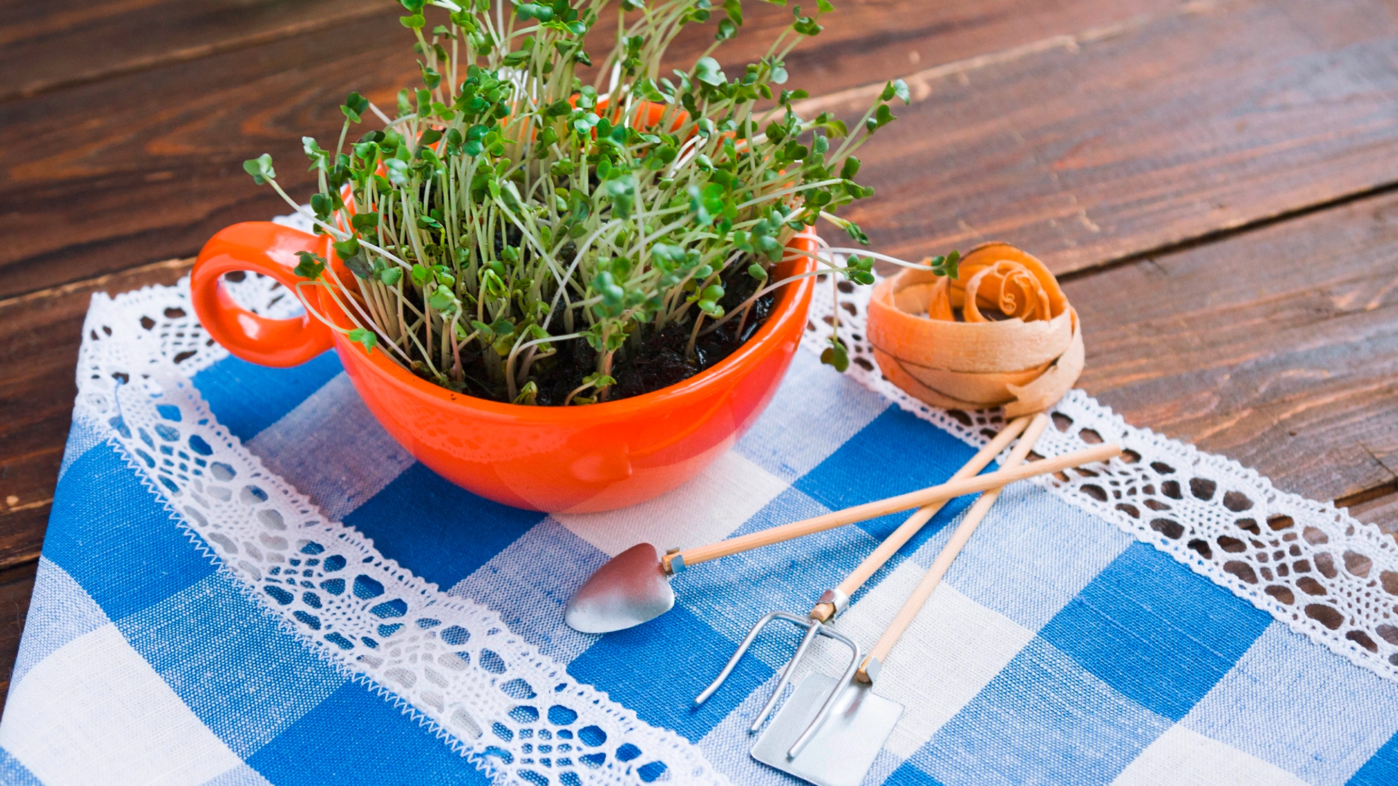 Growing Plants From Scraps