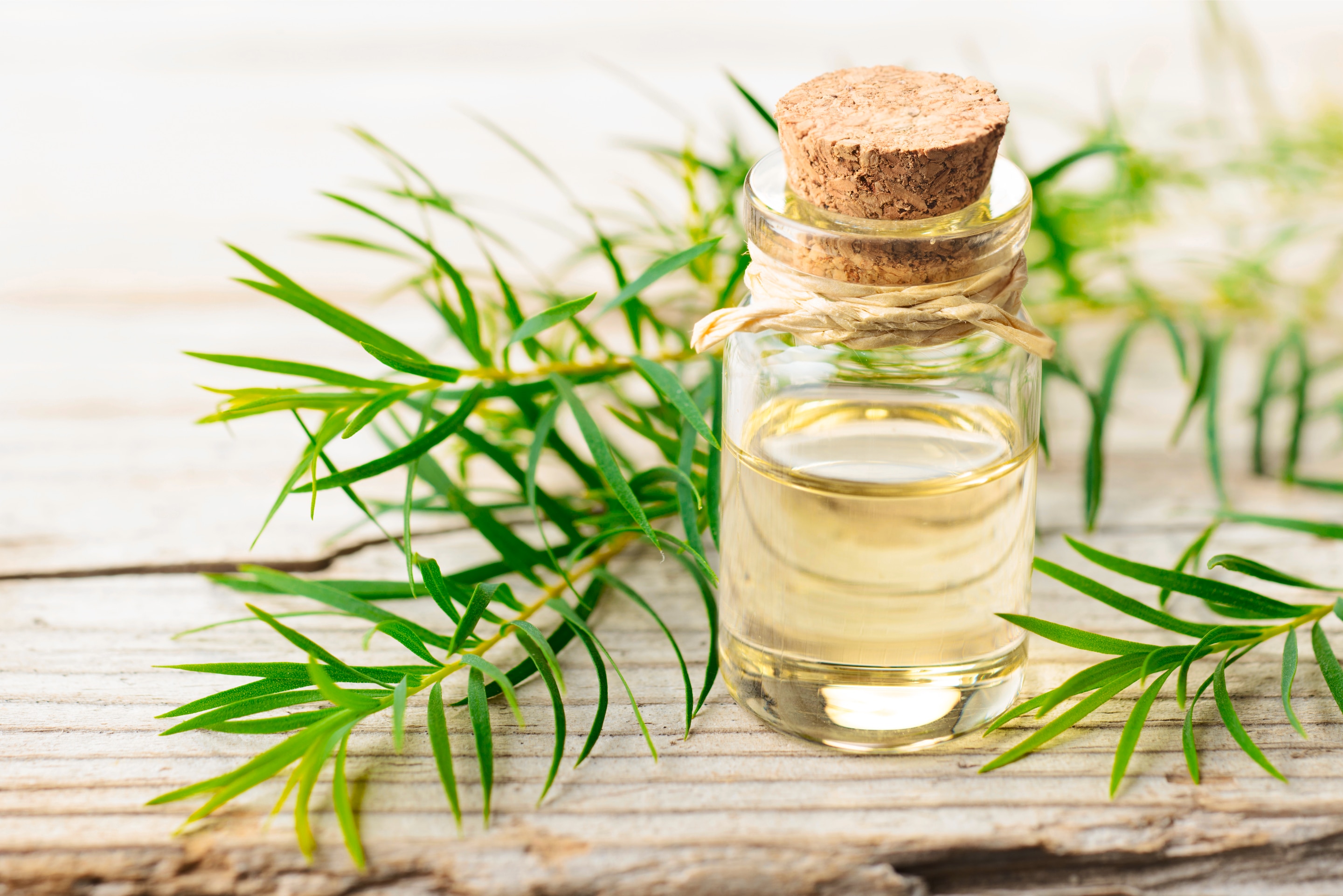 cách gội đầu lâu bết