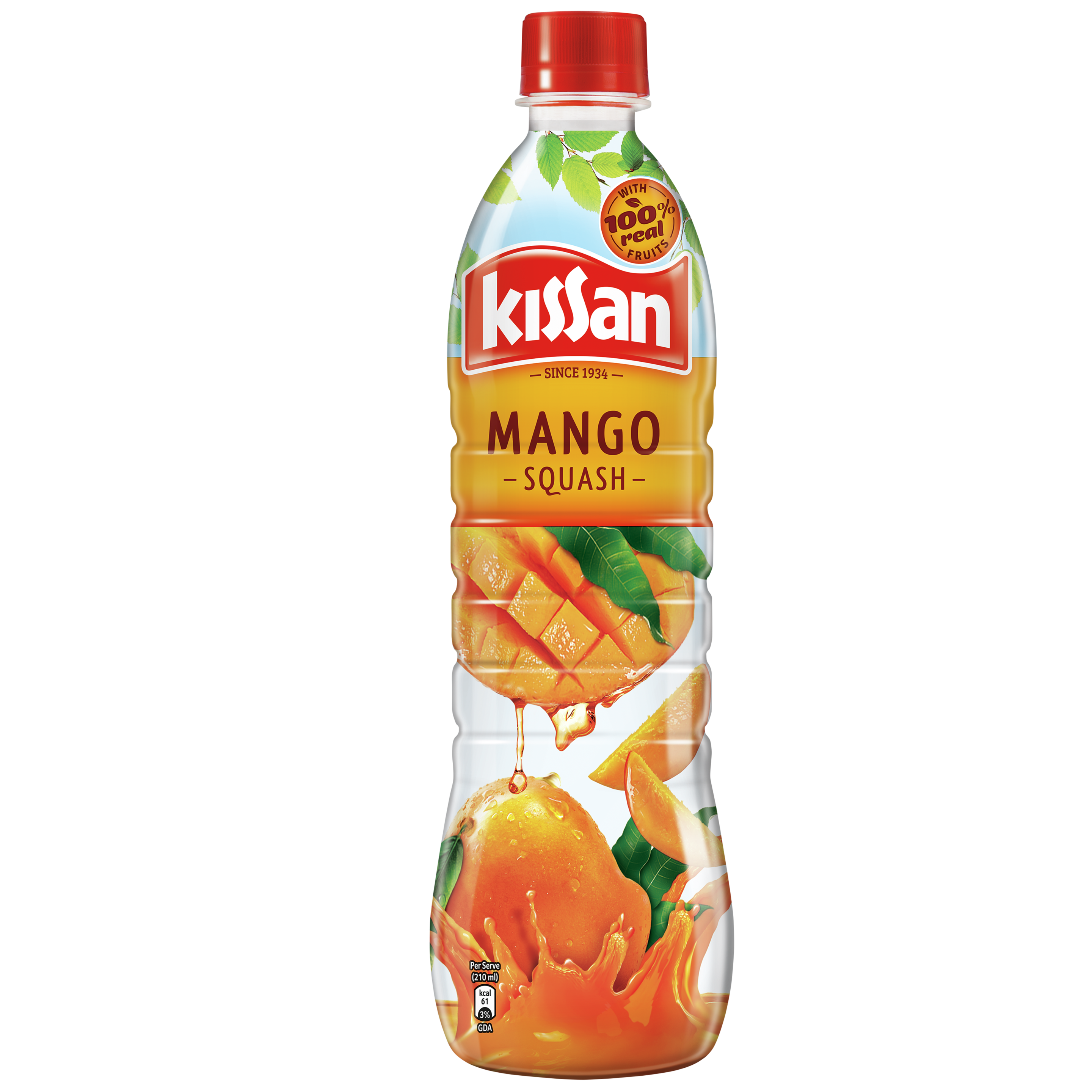 Juicy Mango Squash