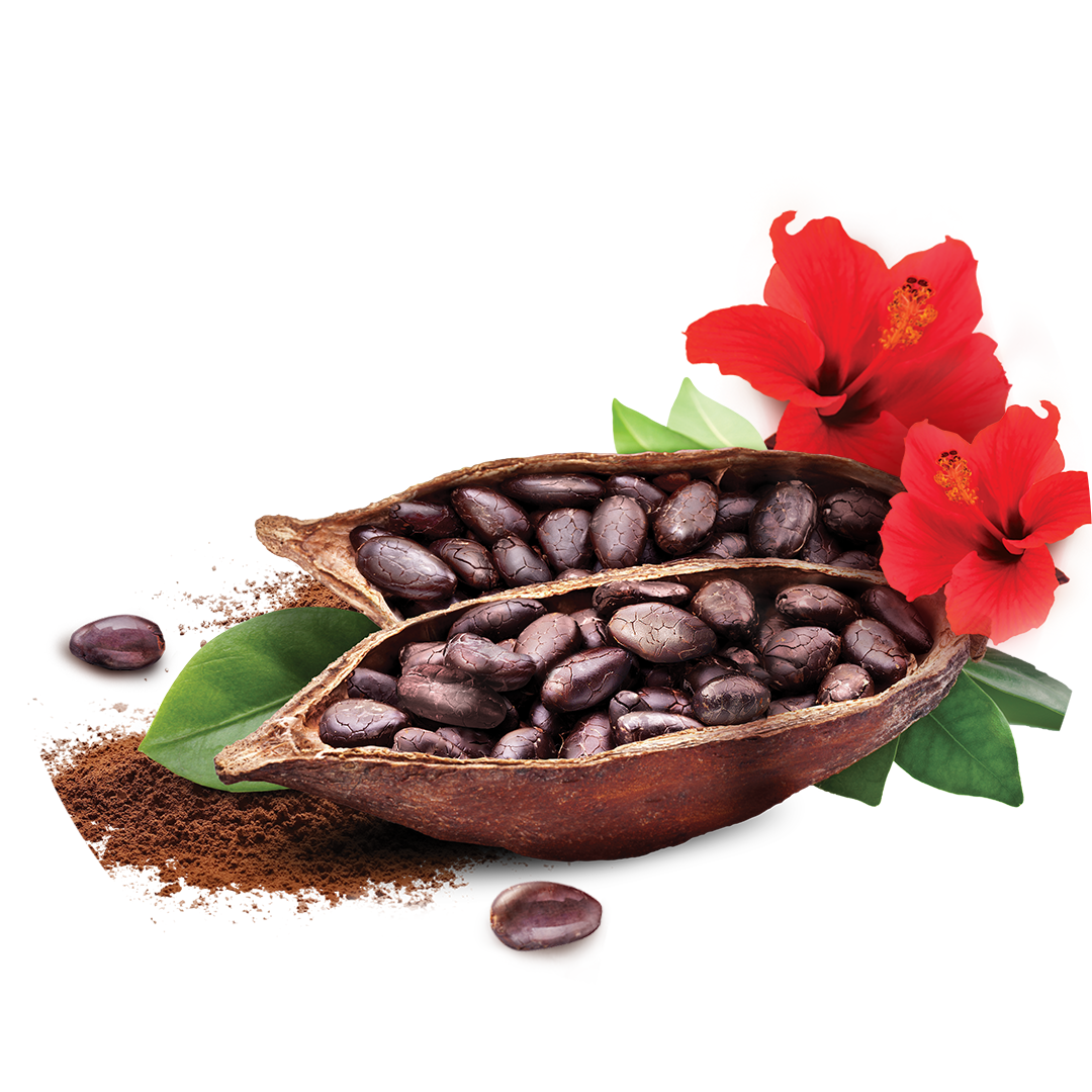 Entdecke die Pflegegeheimnisse westafrikanischer Frauen 