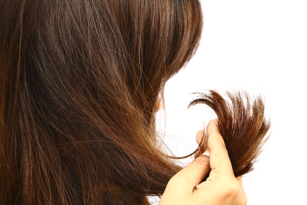 Penyebab Rambut Patah dan Bercabang yang Perlu Kamu Ketahui