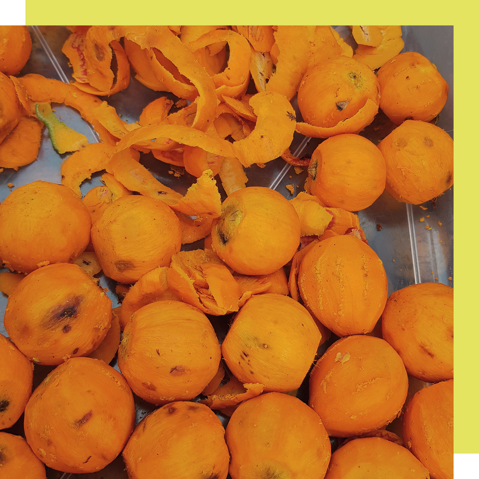 tucuma butter for skin