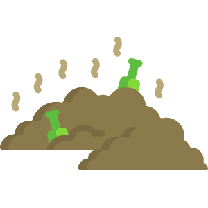 Clogs Waterways