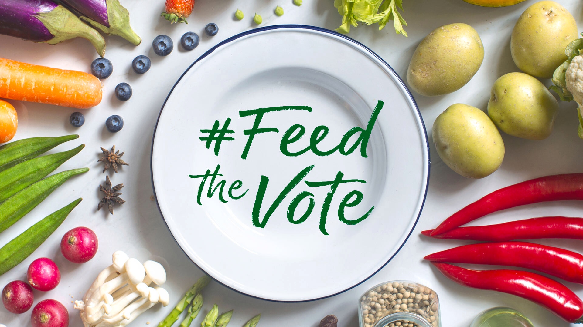 Feed the Vote