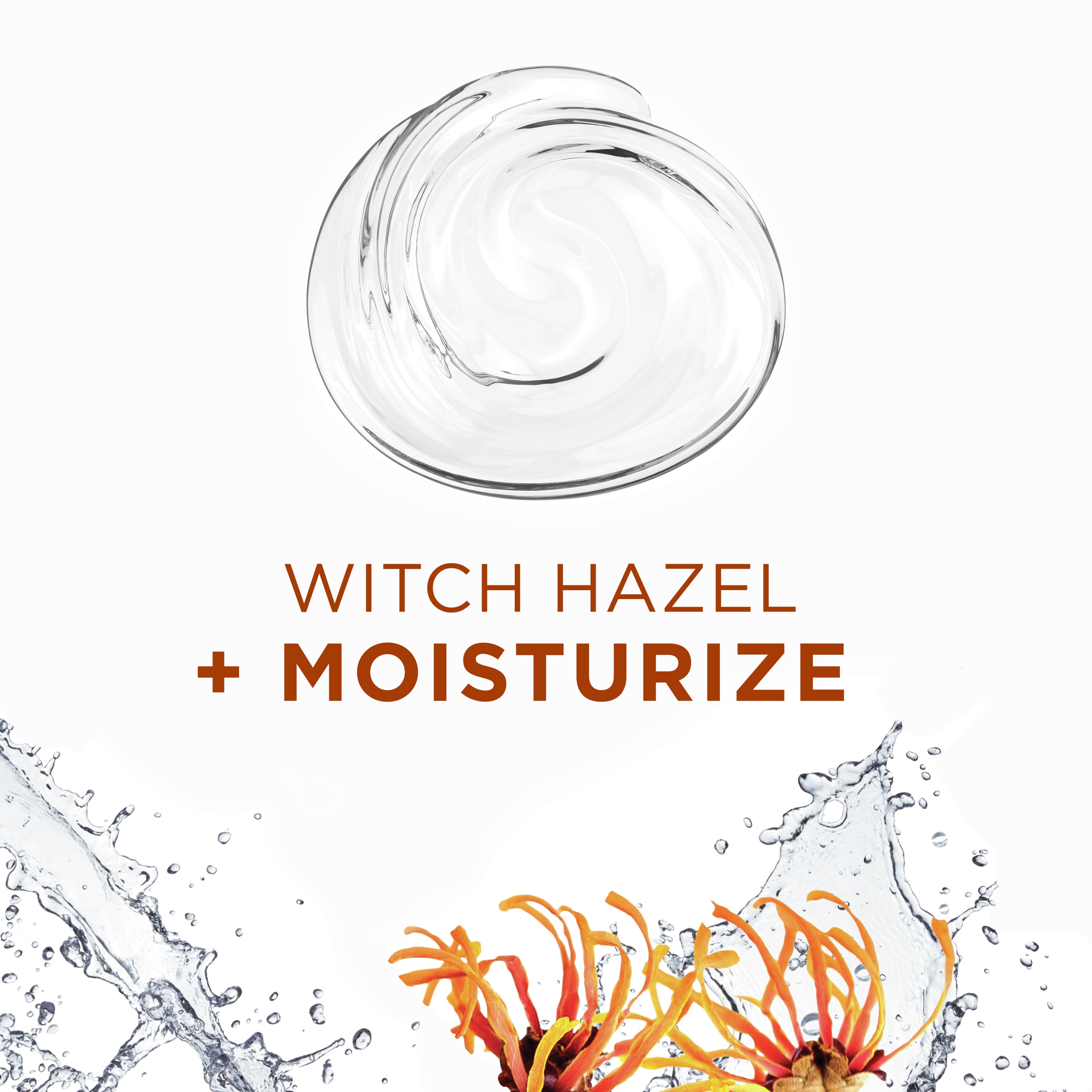 witch hazel + moisturize anti-dandruff shampoo