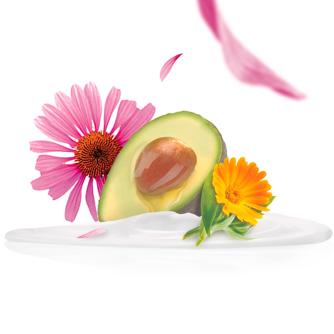 Entdecke die Pflegegeheimnisse aus Nord- und Mittelamerika