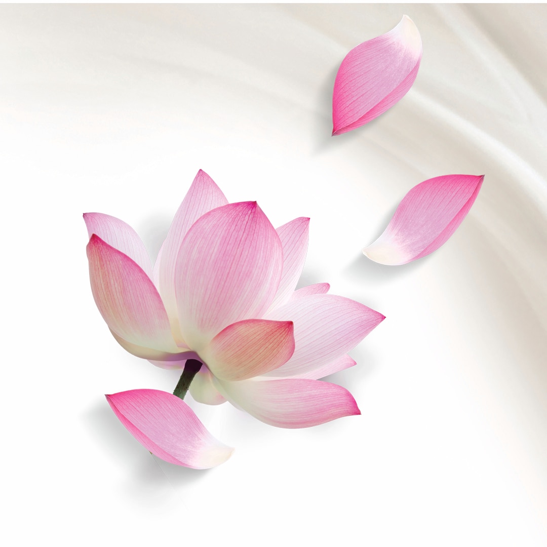 Inspiration von japanischen Frauen