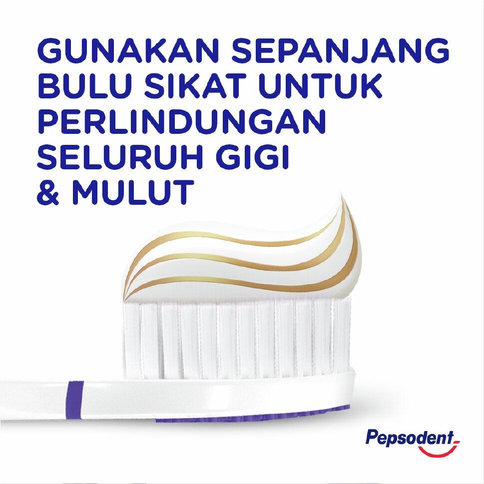 supplementary pack 10