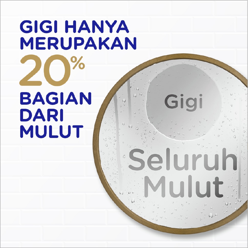 supplementary pack 7