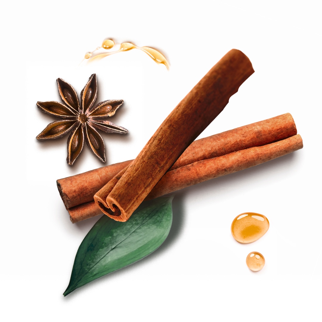 Inspiration aus dem Himalaya-Gebirge