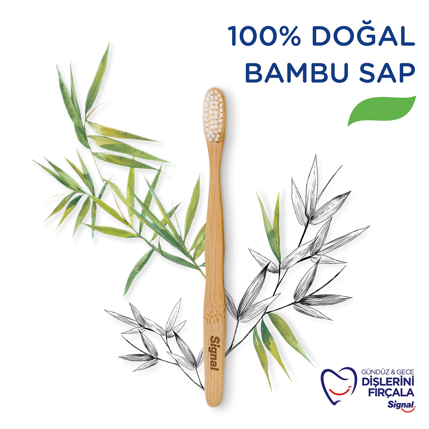 Signal Bamboo Diş Fırçası
