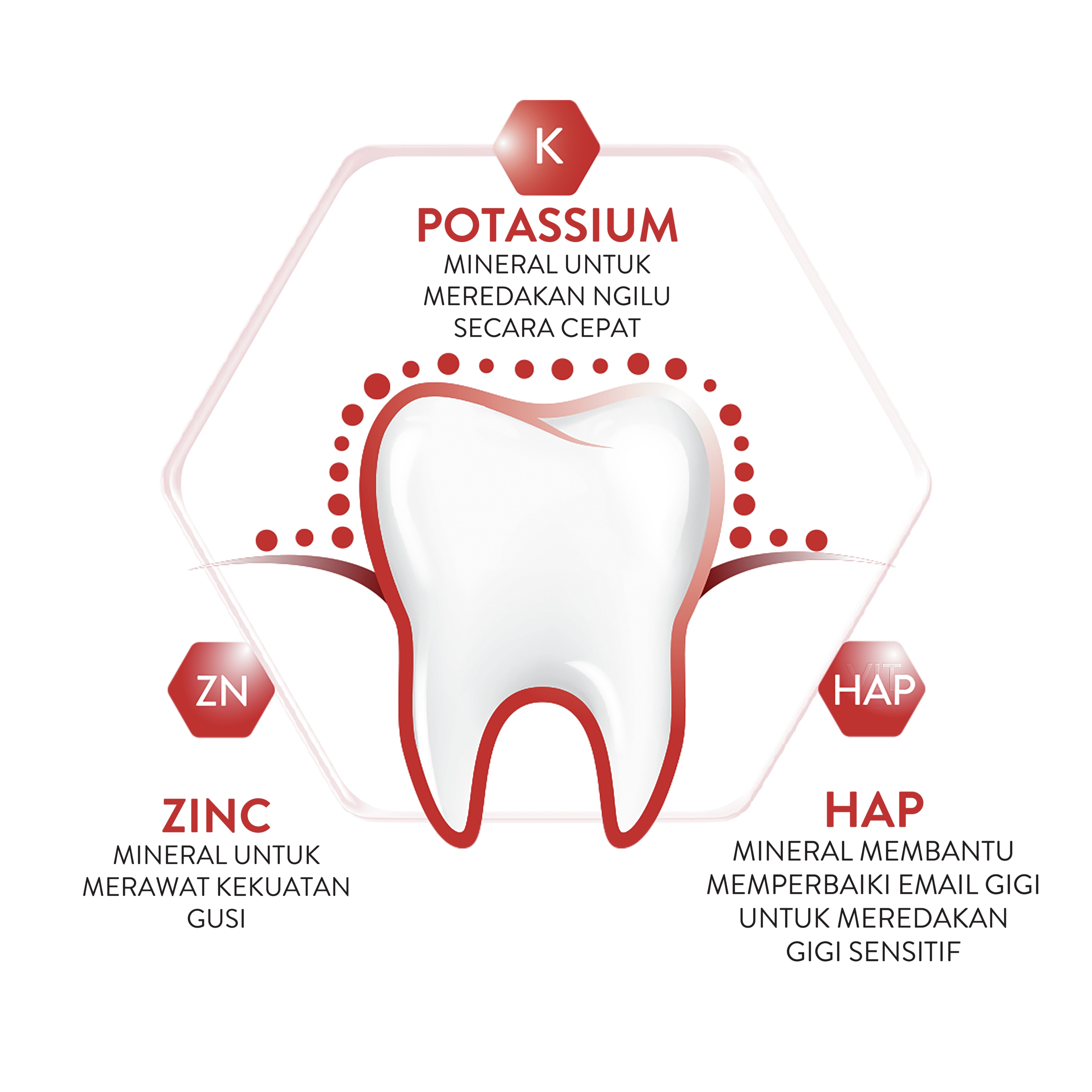 supplementary pack 1