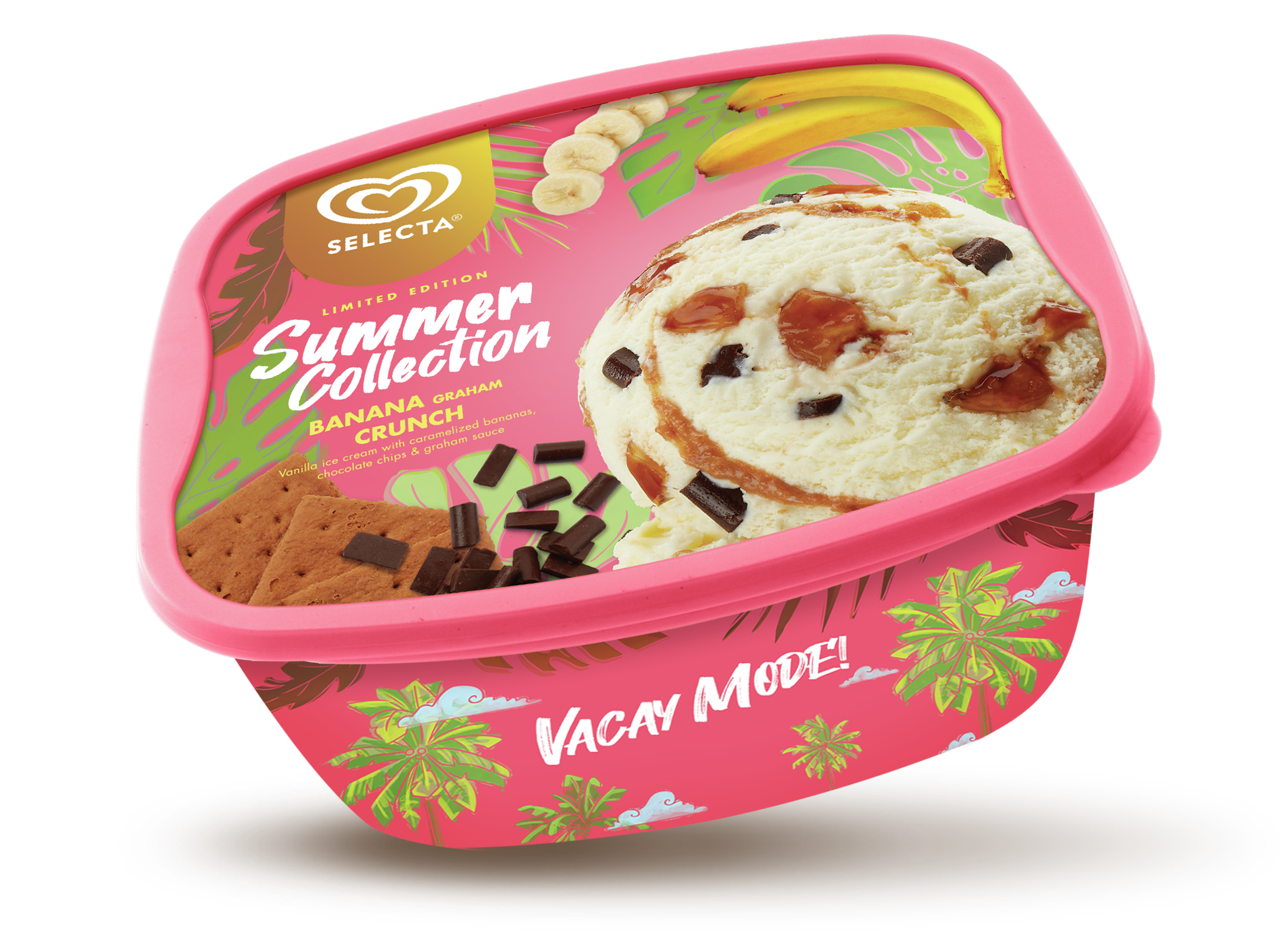 selecta ice cream flavors cake