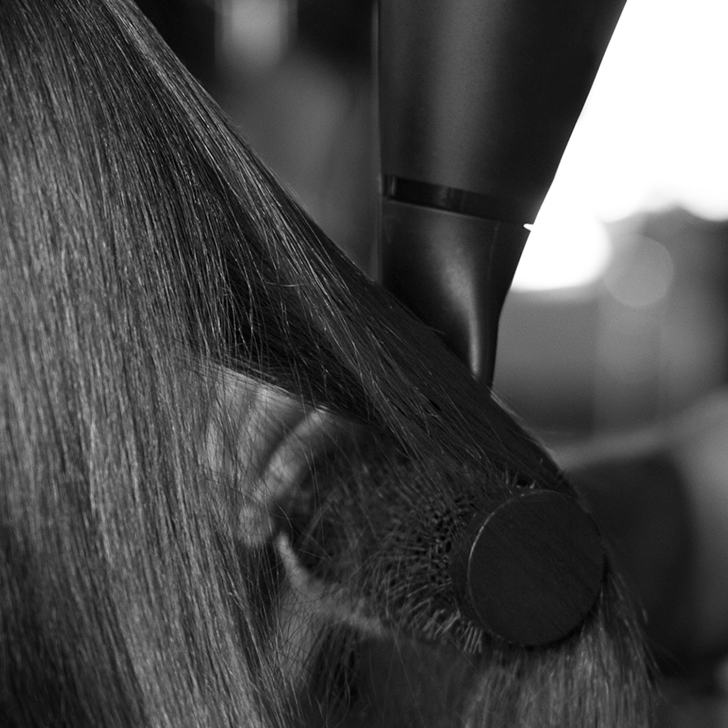Close up of a model's hair being styled with a brush and blow dryer.