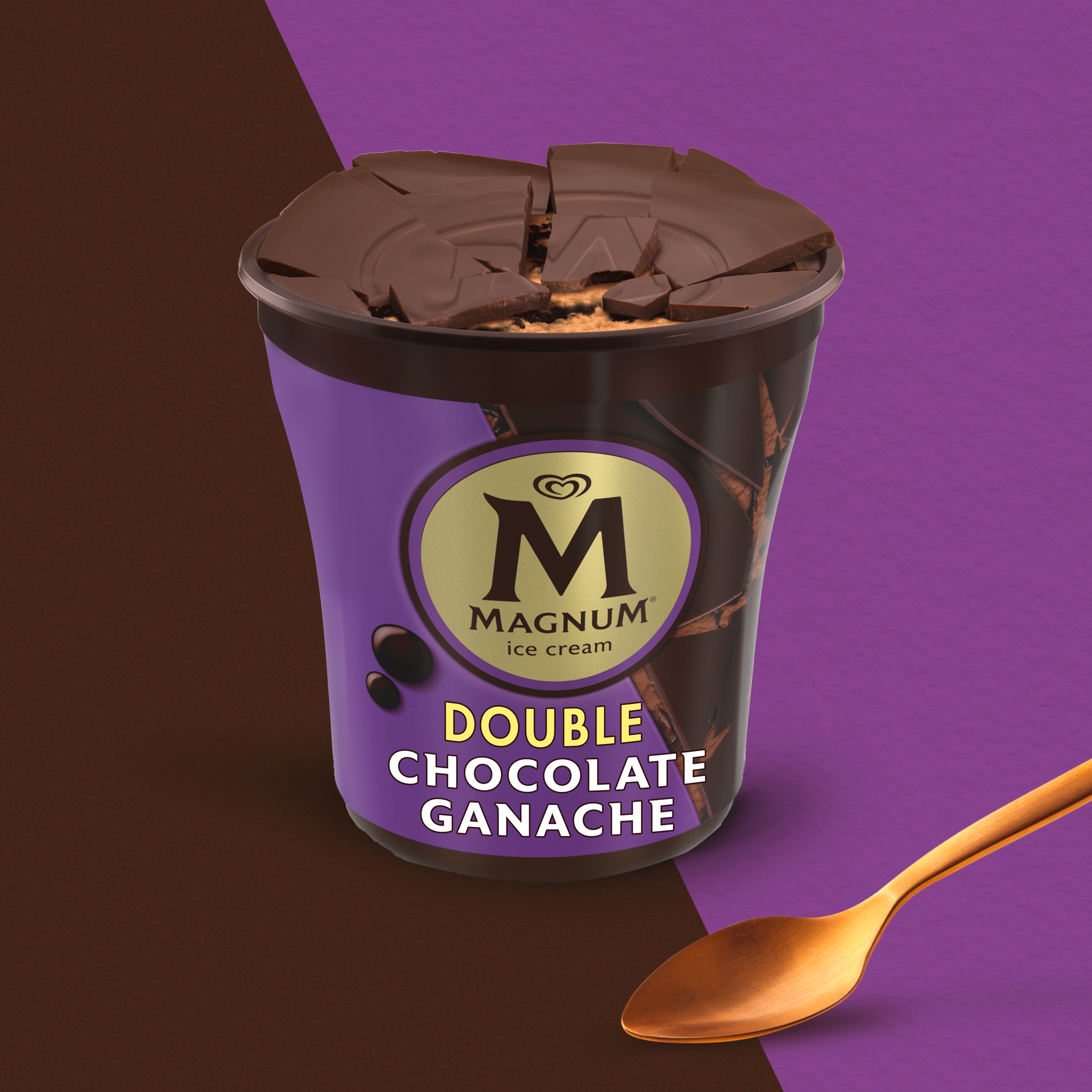 Double Chocolate and Ganache Ice Cream Tub