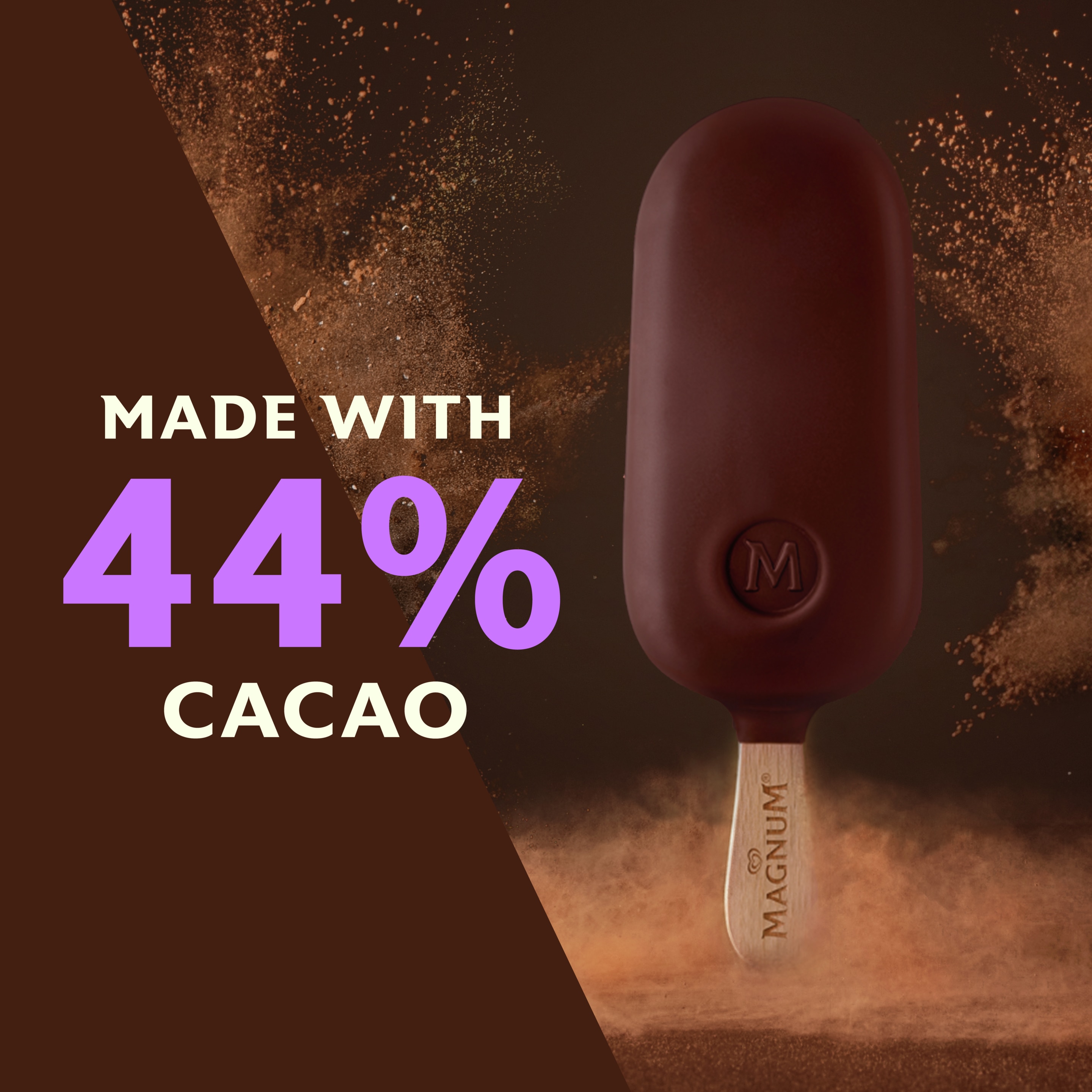 Double Chocolate Ice Cream Bar