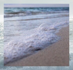 A collection of laboratory test tubes with colored liquid inside