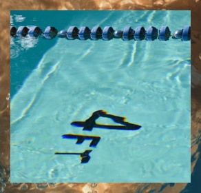 A collection of laboratory test tubes with colored liquid inside