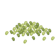kacang hijau