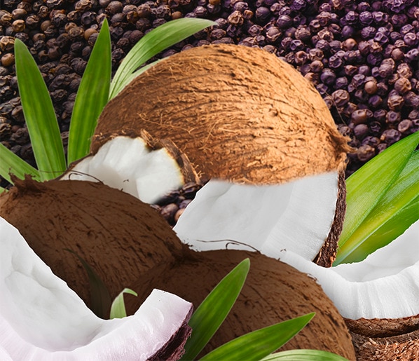 photo d'une noix de coco