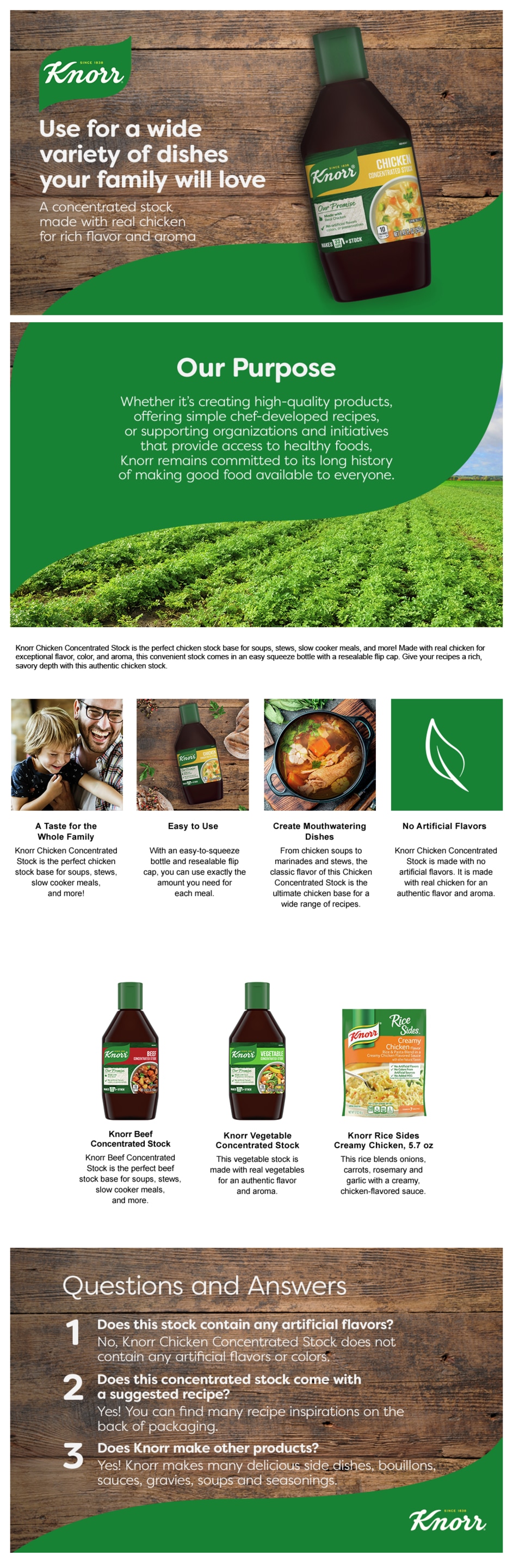 Knorr  Concentrated Stock Chicken  For a Flavorful and Aromatic Chicken Stock Gluten Free and No Artificial Flavors, Colors or Preservatives 8.45 fl oz packshot