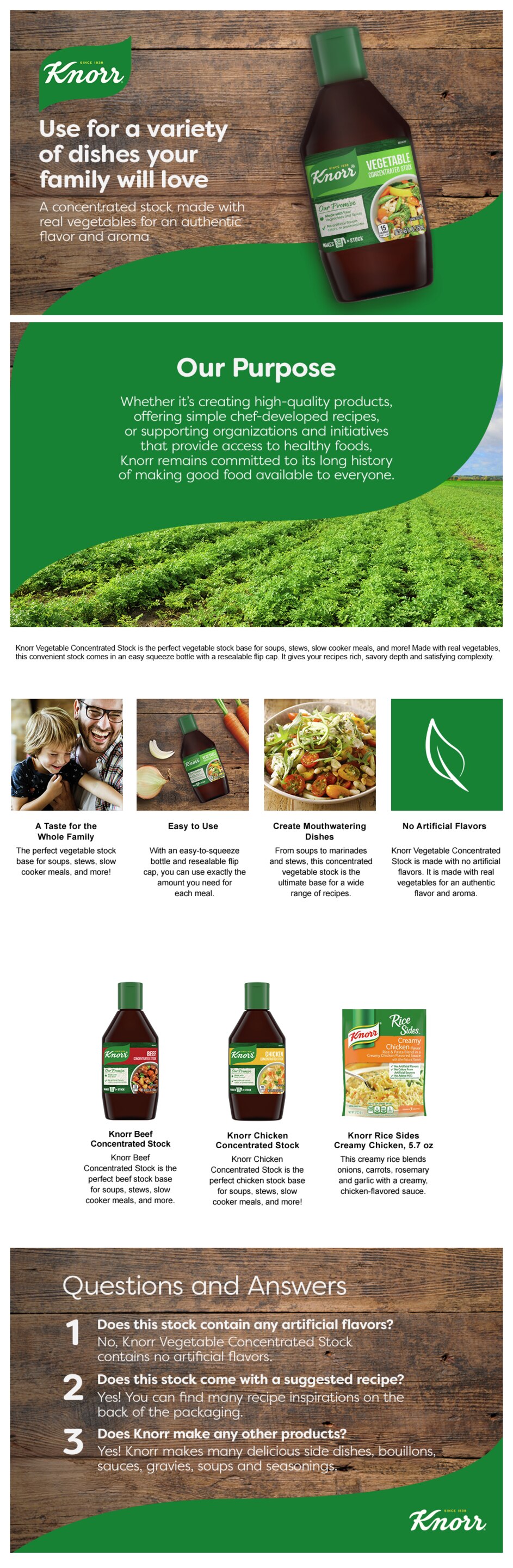 Knorr  Concentrated Stock For a Flavorful and Aromatic Vegetable Stock Vegetable Gluten Free and No Artificial Flavors, Colors or Preservatives 8.45 fl oz packshot