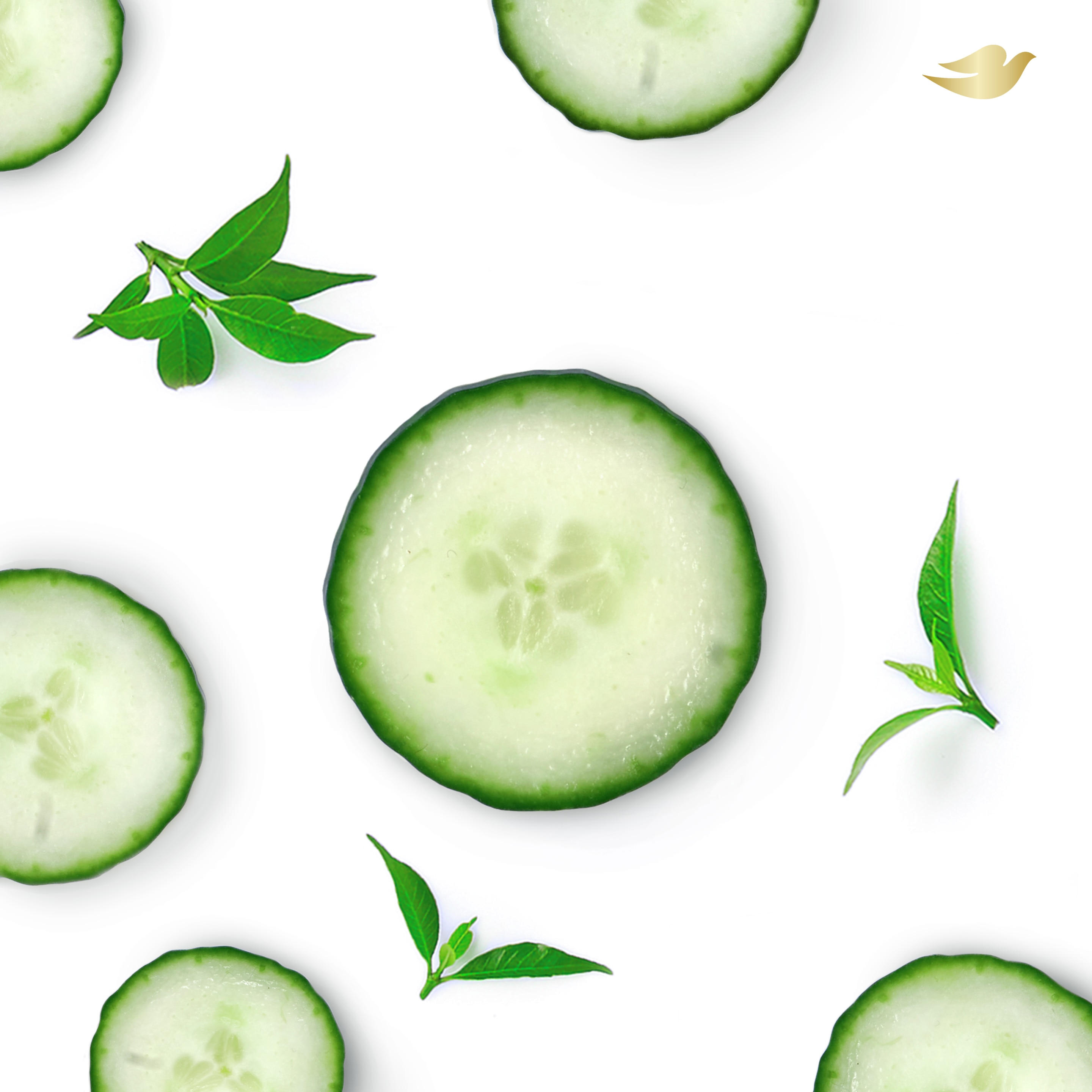 Dove Aluminum Free Deodorant Stick Cucumber and Green Tea