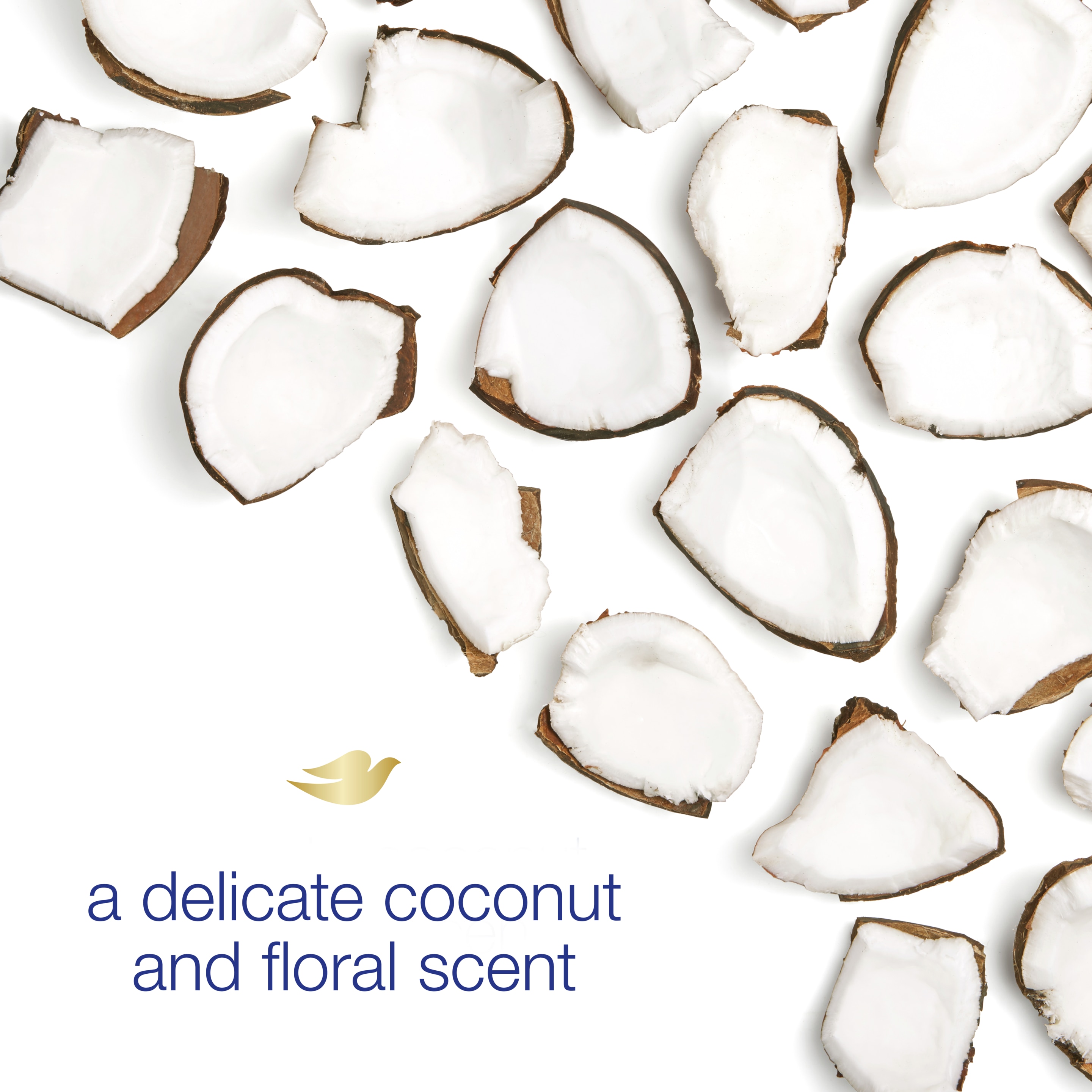 Dove Aluminum Free Deodorant Stick Coconut & Pink Jasmine