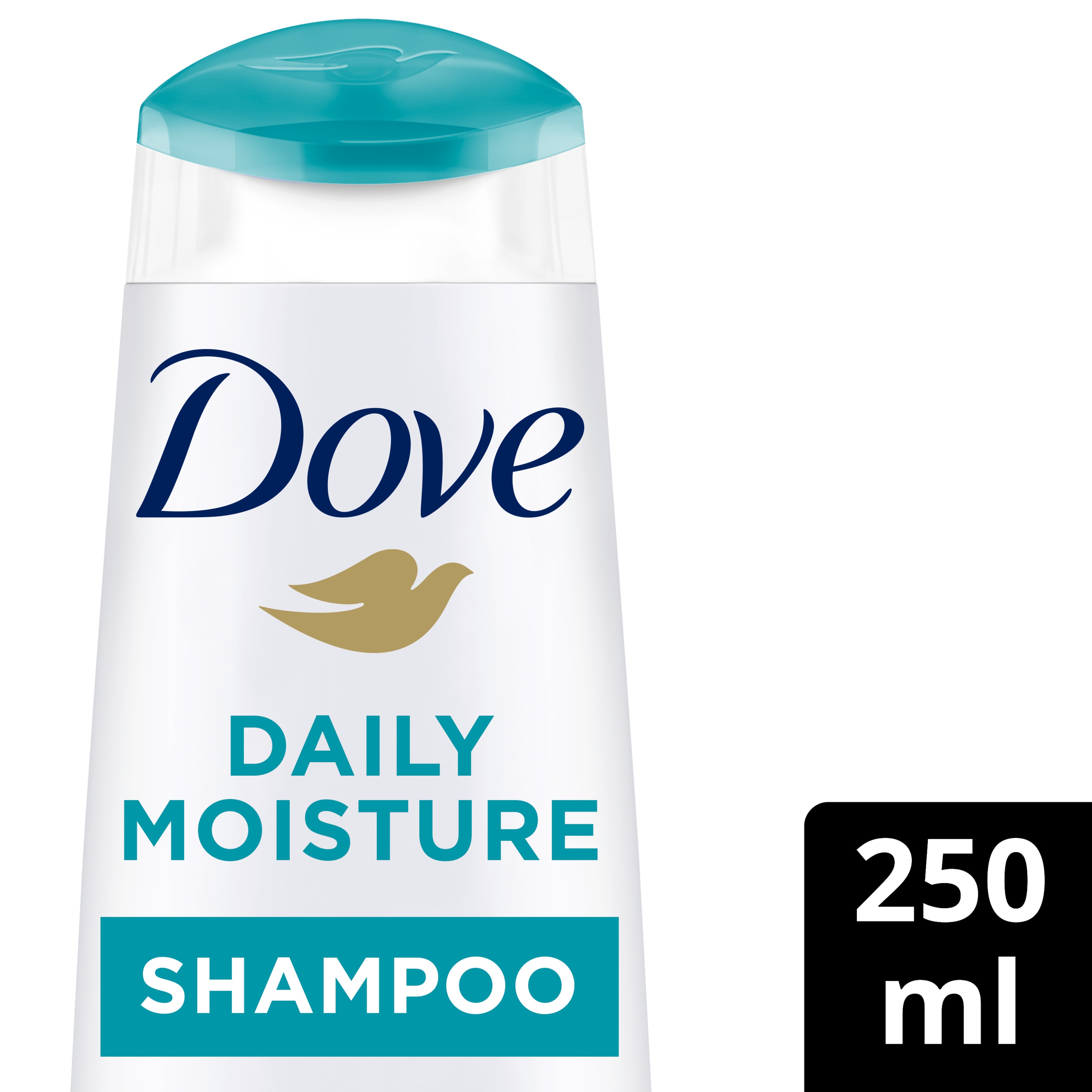 Daily Moisture Shampoo
