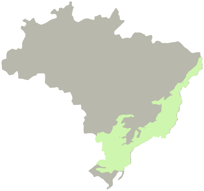 Mapa do Brasil com a região da Mata Atlântica em destaque
