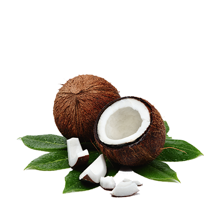 cocco