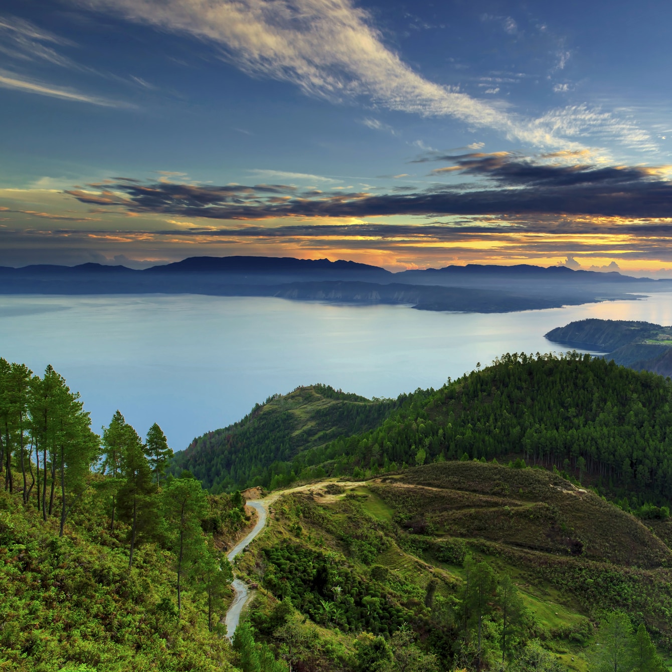 Dove Fights Climate Change