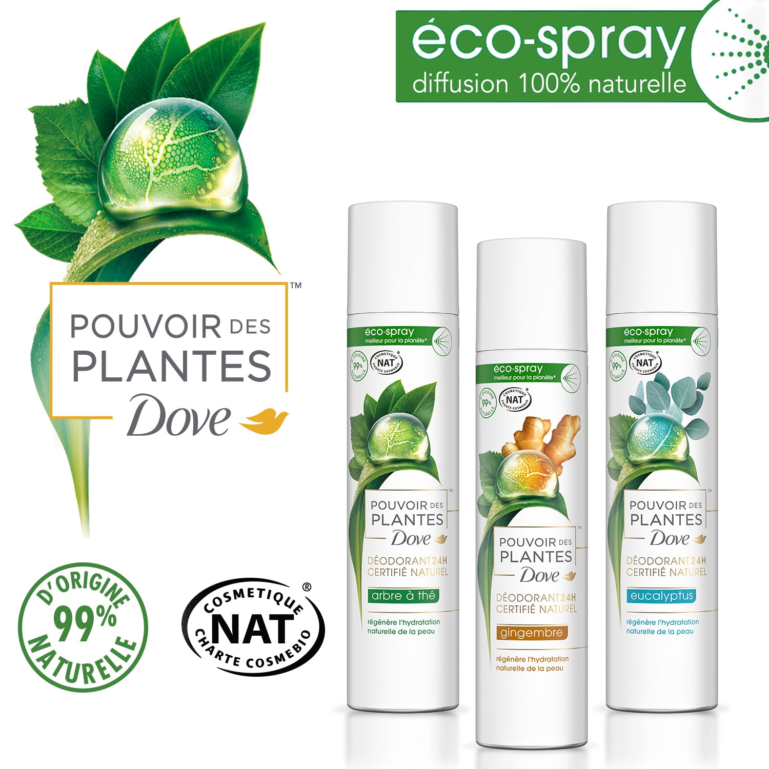 Eco spray - Dove pouvoir des plantes
