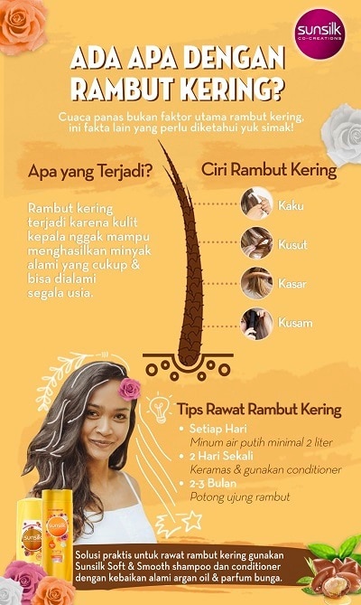 tips rawat rambut kering