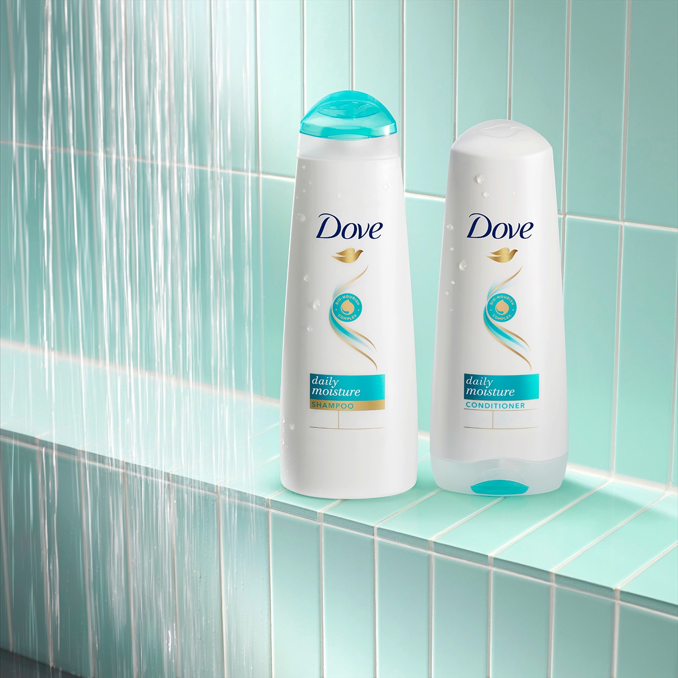 Dove Daily Moisture Shampoo and Conditioner