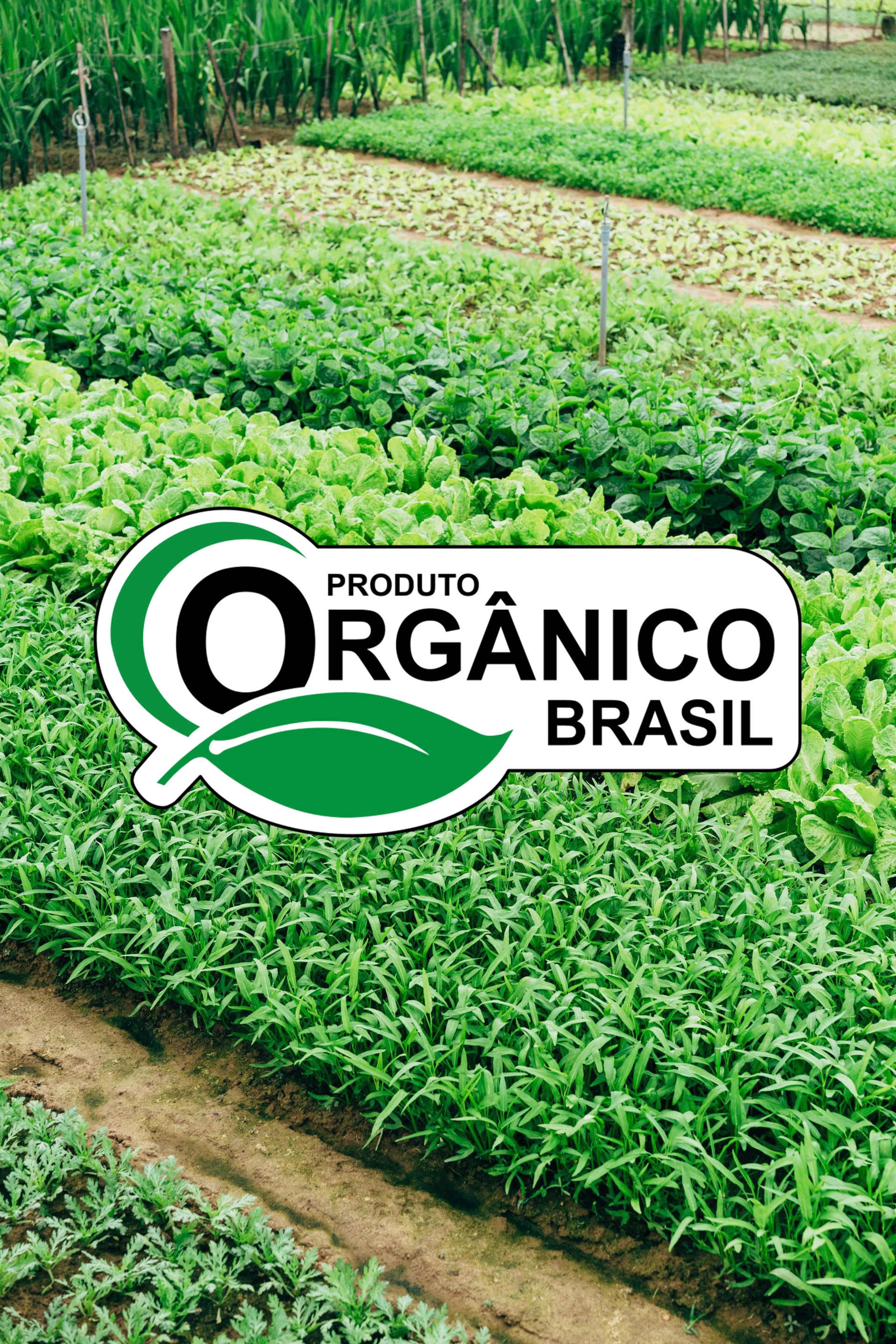 plantação de hortaliças e logo branco produto orgânico brasil