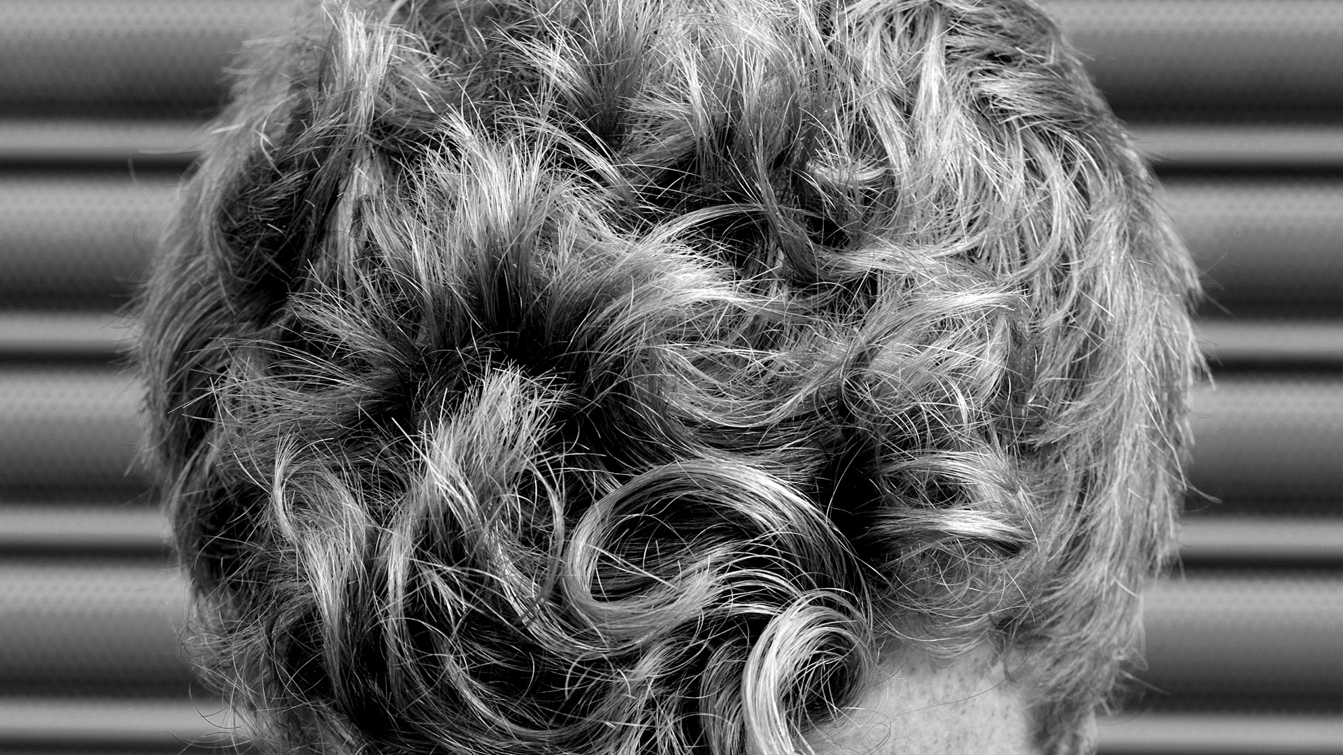 A guy’s curls, see from above.
