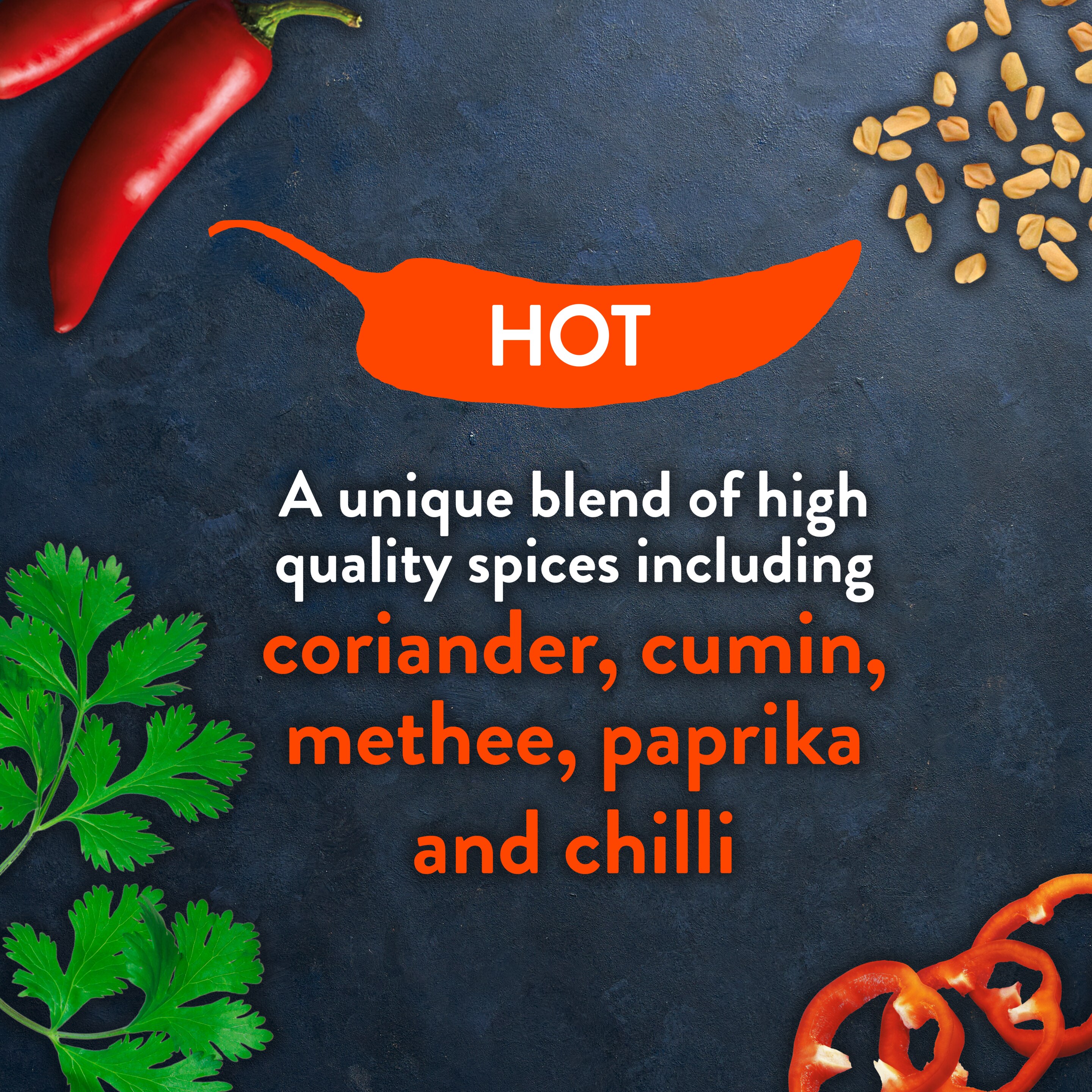 Rajah Hot Curry Powder 100gr