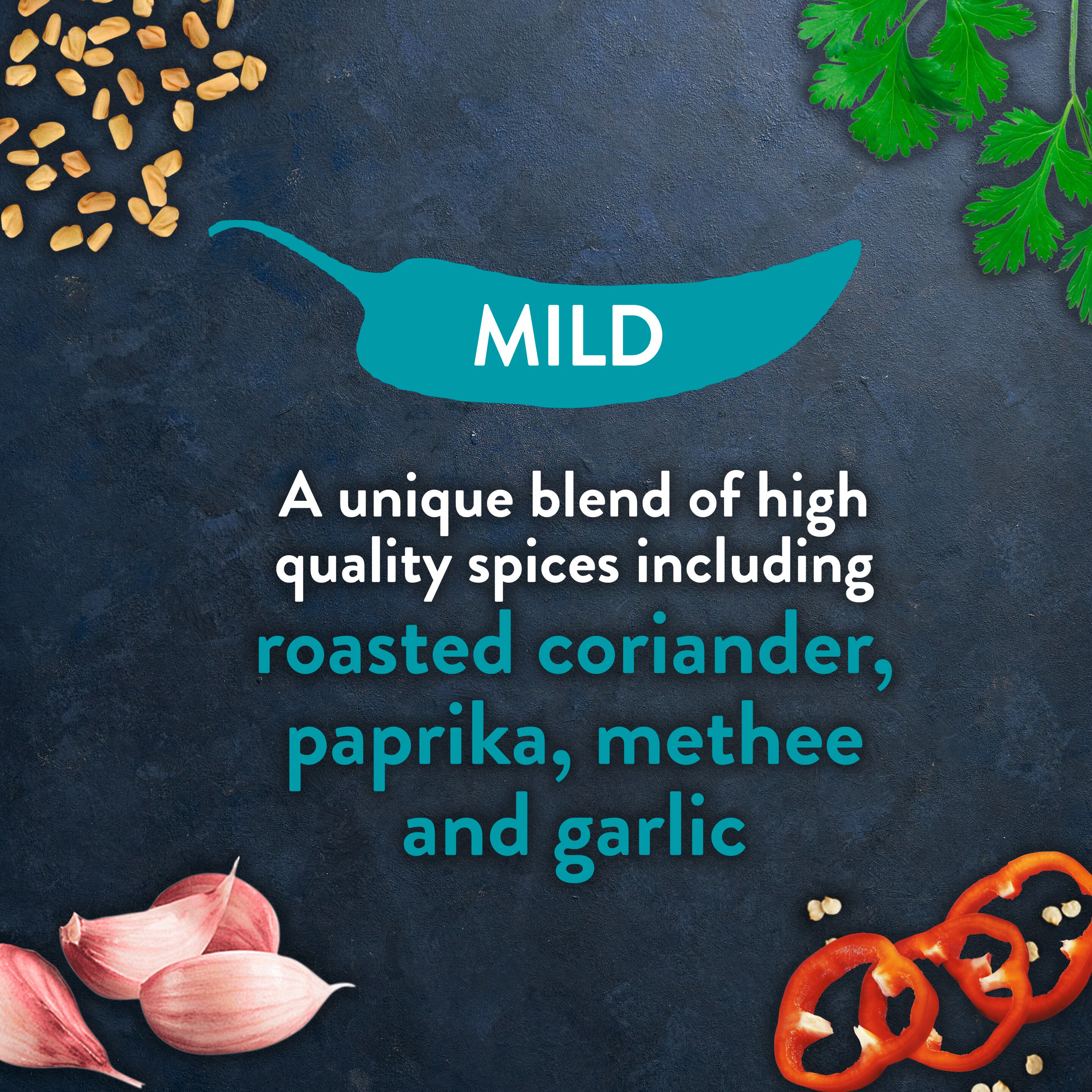 Rajah Mild Masala Curry Powder 100gr