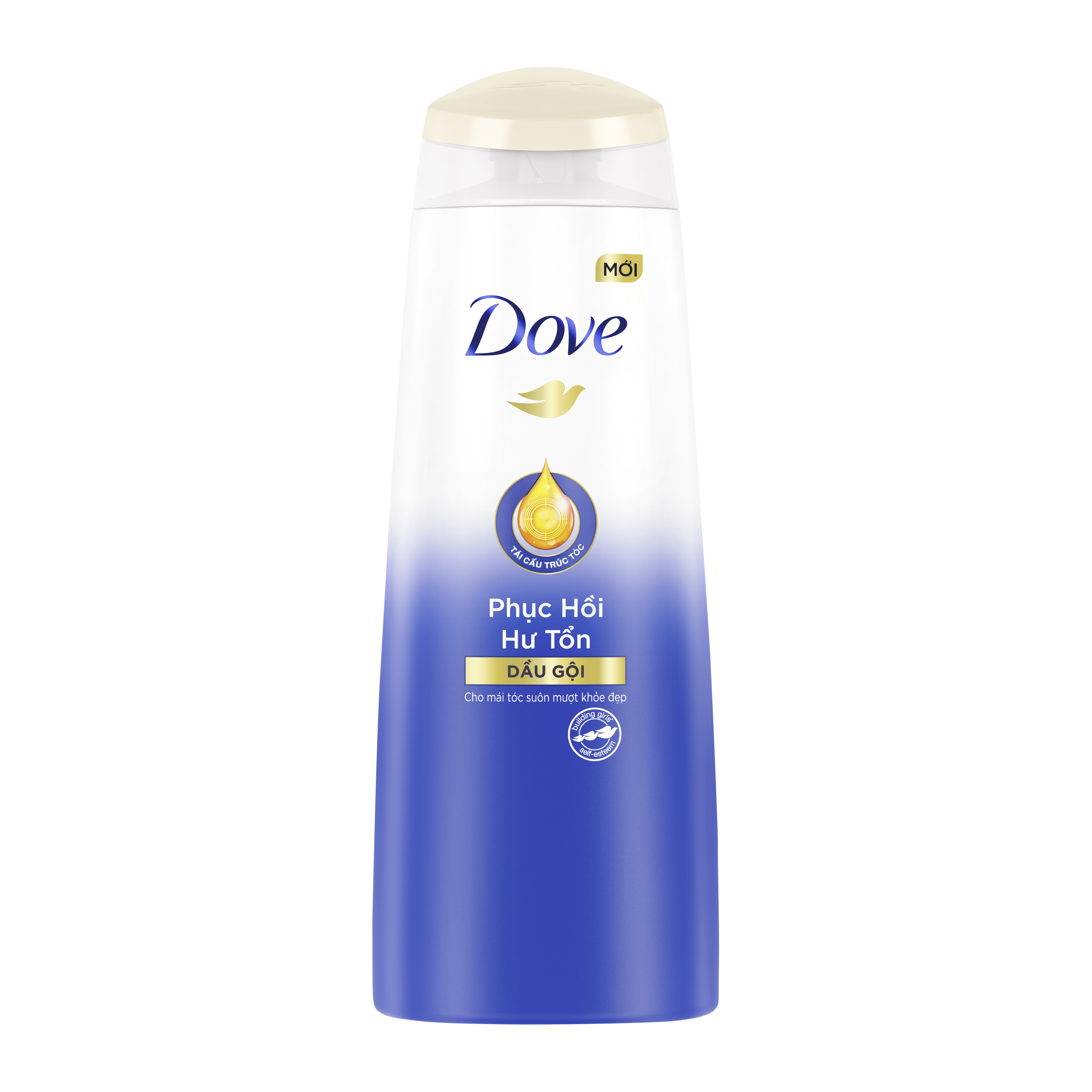 Dầu Gội Dove Phục Hồi Hư Tổn 170g