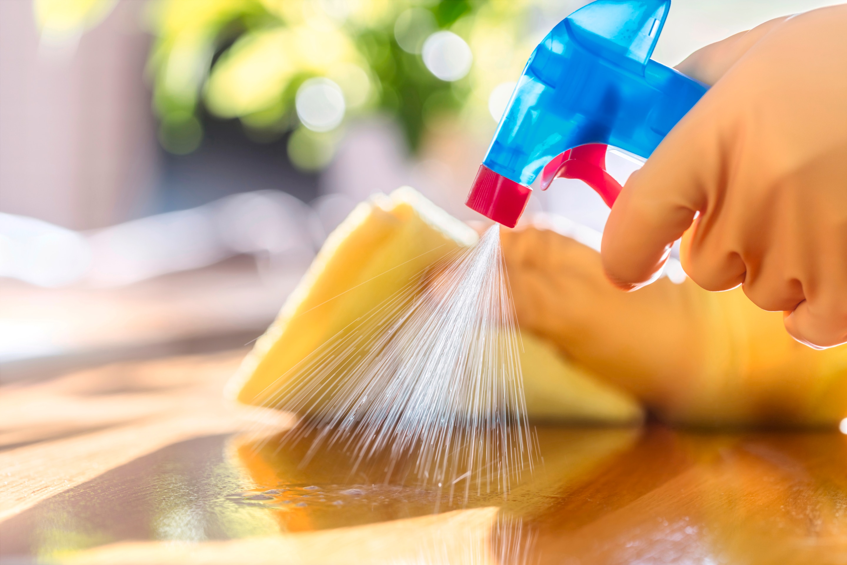 Woman spraying household cleaners