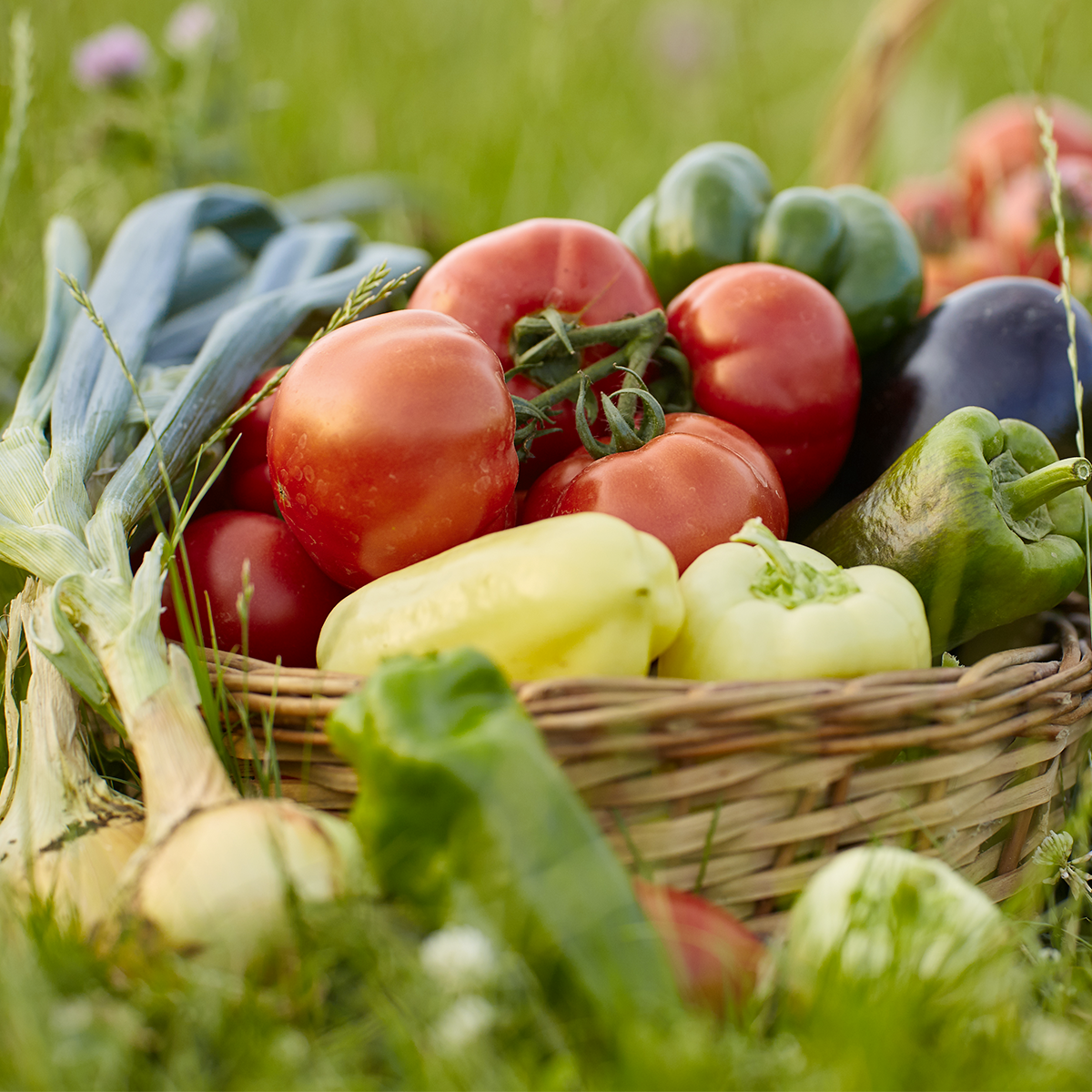 Canasta de vegetales naturales