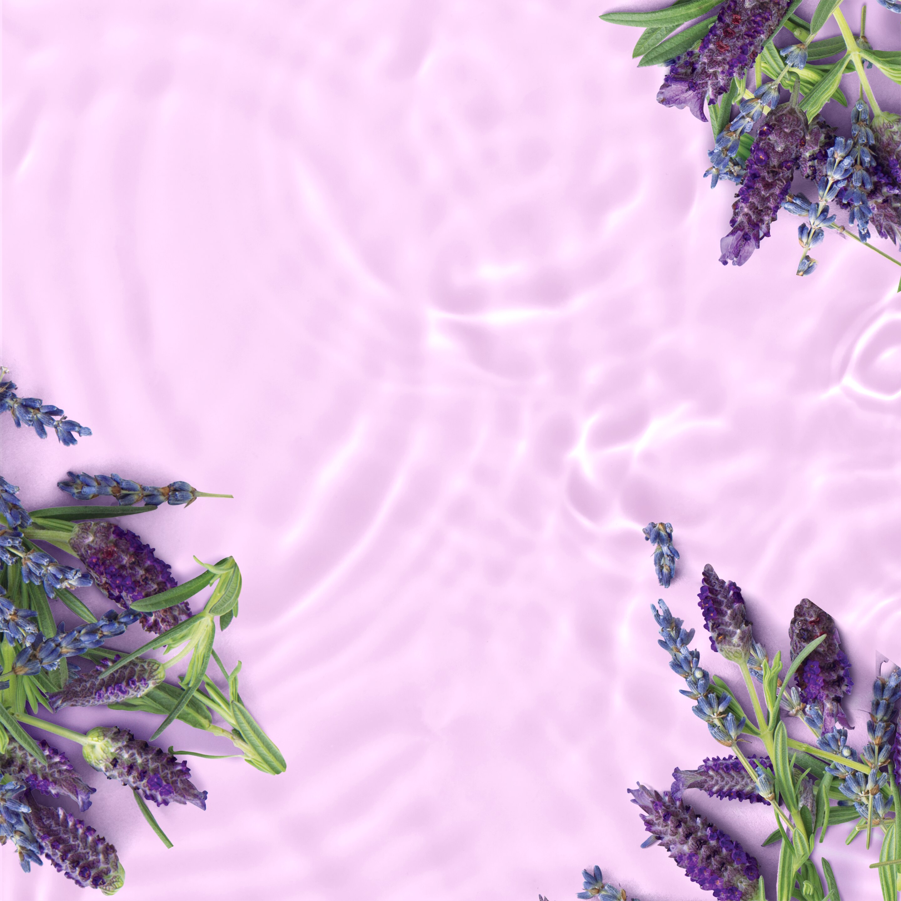Texture Shot Love Beauty Planet Argan Oil & Lavender Conditioner Smooth & Serene