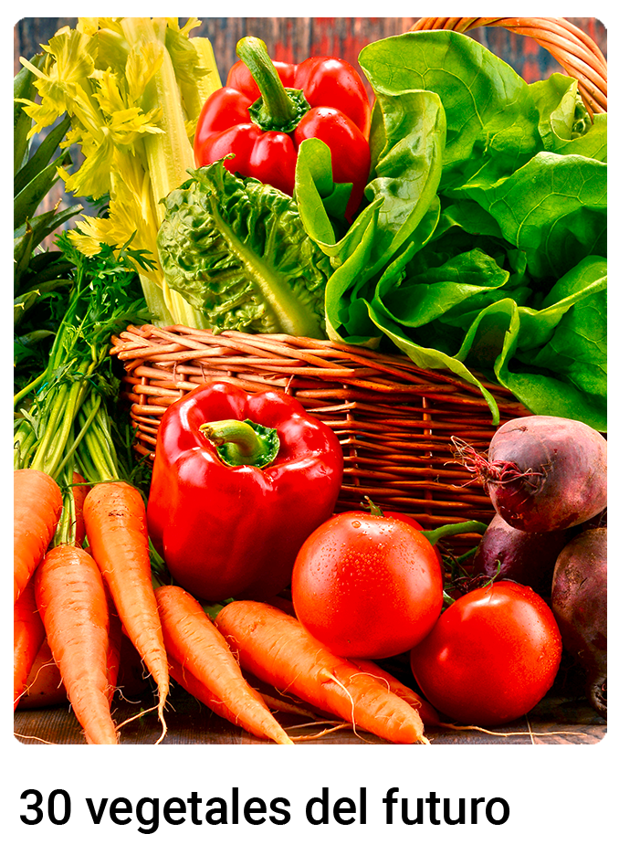 Canasta de tomates naturales 