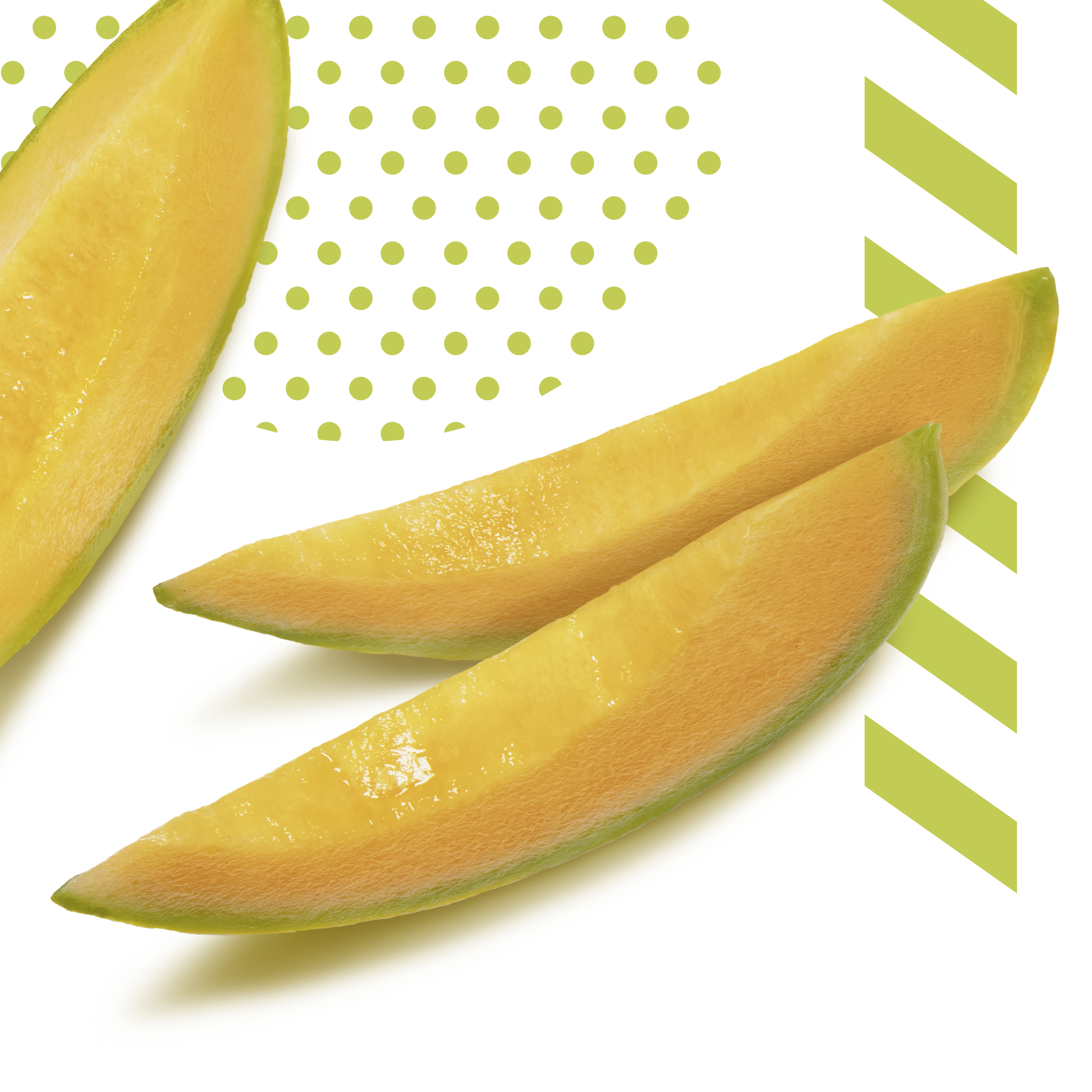 gusto di melone