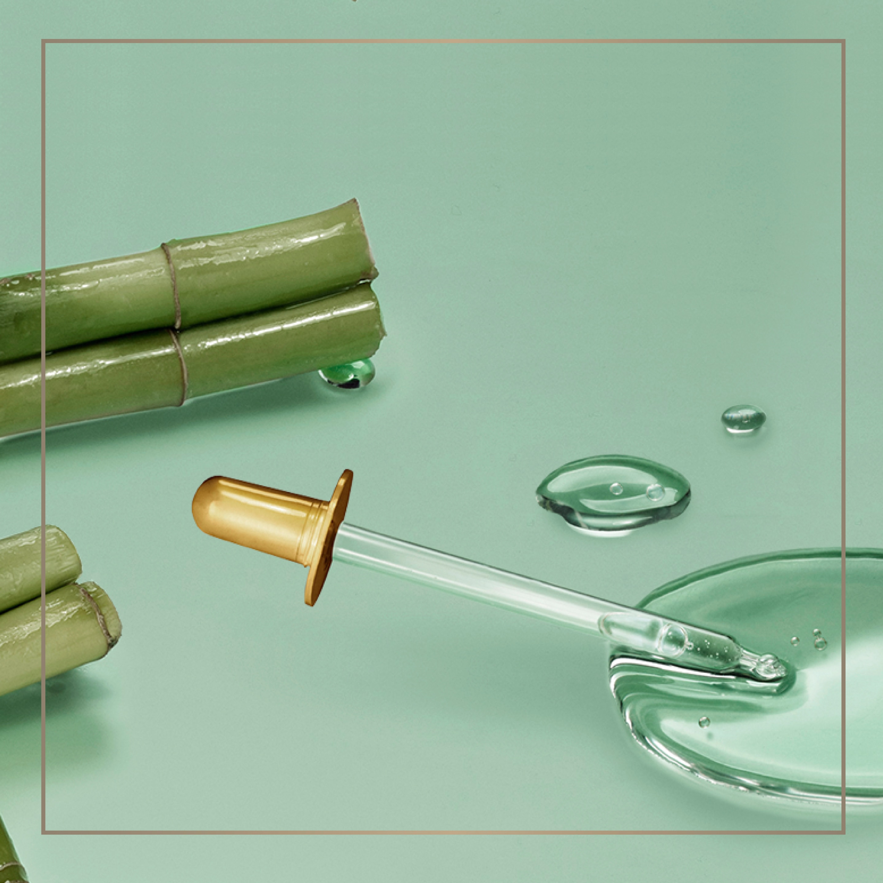 Dove Bamboo extract