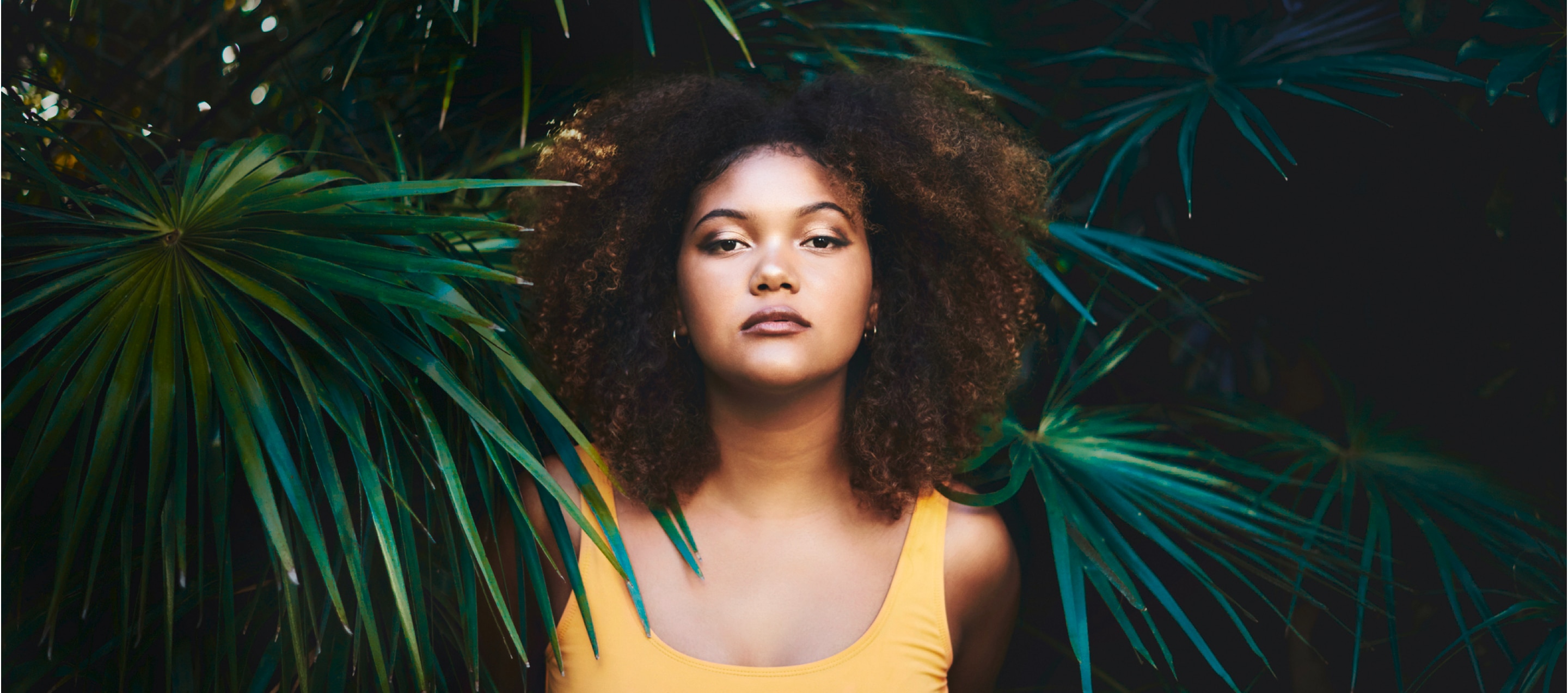 Botanicals Brazil homepage