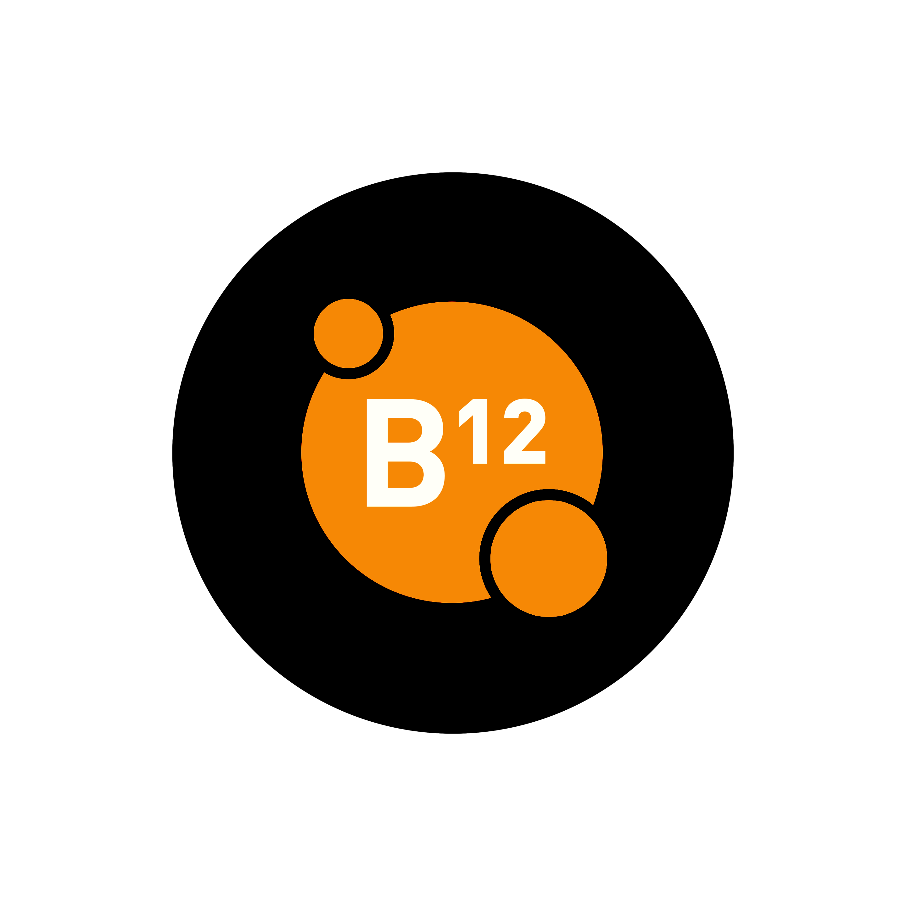 B 12